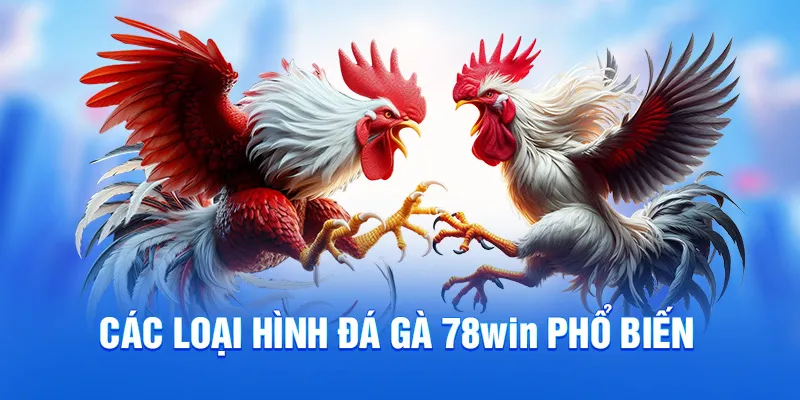 Các loại hình đá gà 78WIN phổ biến